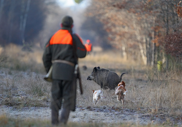 Information Chasse – 28/09/25