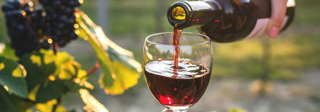 Soirée Beaujolais Nouveau – MJC